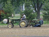 Farm Fresh Produce Proven Winner Plants